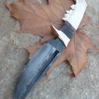 Lovecký nůž ,,Puma“